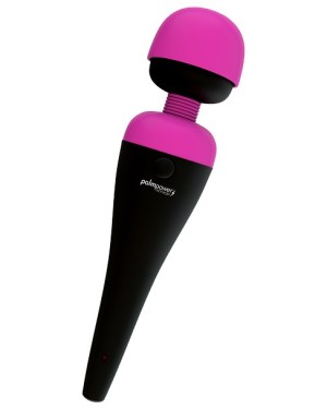PalmPower Massager Recharge