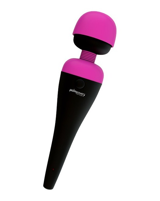PalmPower Massager Recharge