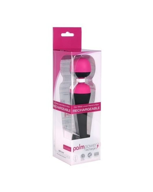 PalmPower Massager Recharge
