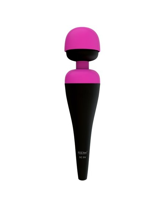 PalmPower Massager Recharge