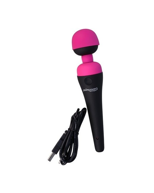 PalmPower Massager Recharge