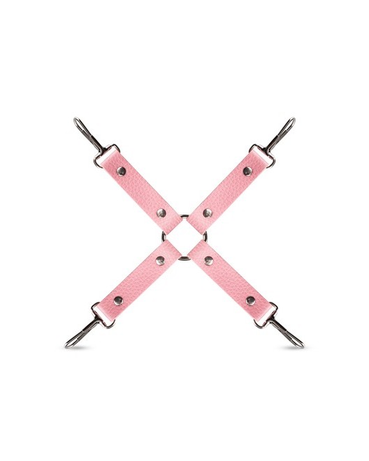 Coffret_Bondage_Secret_Pleasure_Chest_Pink_Pleasure