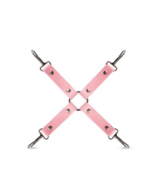 Coffret_Bondage_Secret_Pleasure_Chest_Pink_Pleasure