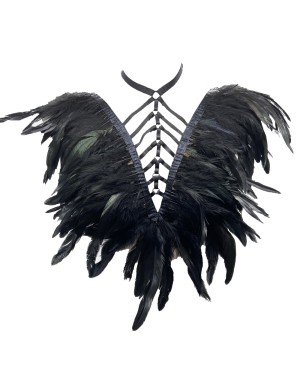 Harnais_à_plumes_et_liens_extensibles