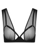 soutien-gorge-ouvert-nuit-fauve-maison-close