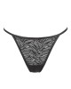 string-karma-cat-noir-jolidon-clandestine