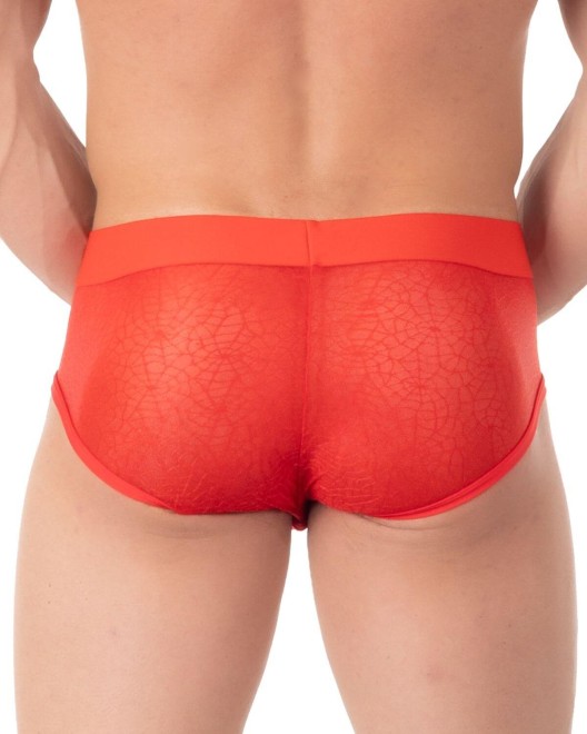 slip homme push-up rouge transparent, Eros Veneziani, zoom arrière