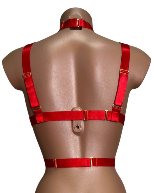 soutien-gorge harnais ouvert et collier ras-de-cou assorti, lingerie bondage rouge, vue de dos