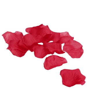 pétales de roses rouges décoration romantique, Le Désir