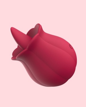 Coffret Érotique Saint-Valentin "Offrez-lui une rose" – Paradise Bouti