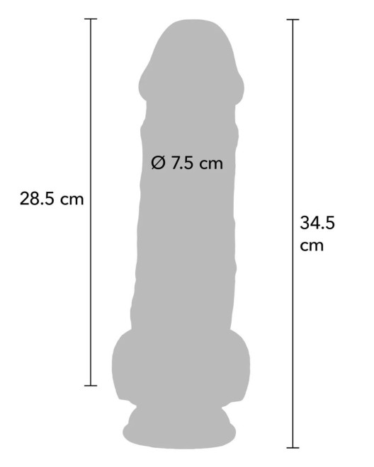 gode ventouse réaliste avec testicules XL, get real, ToyJoy, guide taille