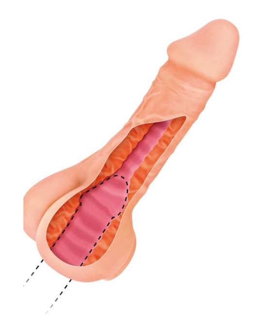 gode réaliste gaine de pénis Two-in-one, chair, Real Body, vue intérieure