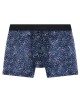 Boxer Wild Side, Aubade Men, devant