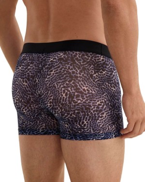 Boxer Wild Side, Aubade Men, zoom derrière