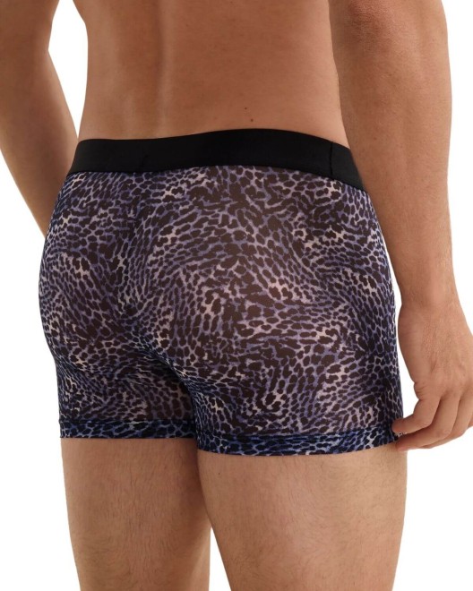 Boxer Wild Side, Aubade Men, zoom derrière