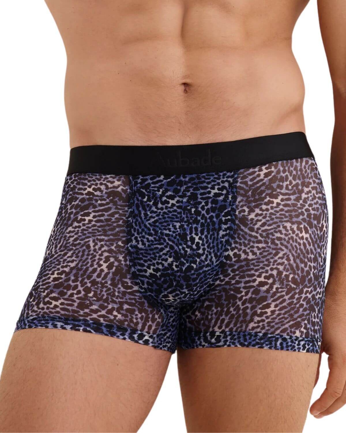 Boxer Wild Side, Aubade Men, zoom de face