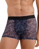 Boxer Wild Side, Aubade Men, zoom de face