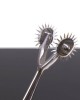 roulette de wartenberg duo, Kiotos, picots