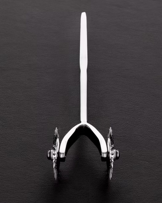 roulette de wartenberg duo, Kiotos, zoom roue