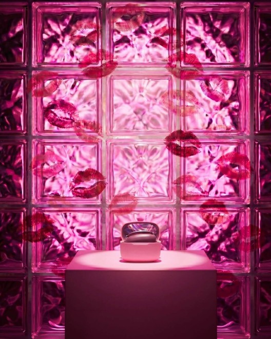 stimulateur clitoridien mini Womanizer Snap
