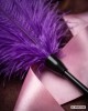 coffret,erotique,massage,odyssee,sensuelle,plumeau,violet,photo,ambiance