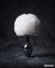 plug bijou queue de lapin, Paradise boutik, blanc, sextoy
