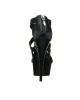 Chaussures_sexy_talons_hauts_pleaser