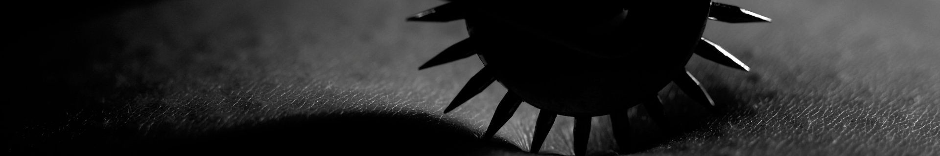 Roulettes de Wartenberg - Paradise Boutik